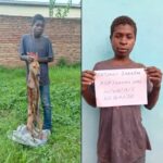 Man Arrested For Allegedly Selling Dog Meat At Local Drinking Spot in Ndirande