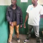 Two Arrested in Chikwawa for Possessing Live Pangolins