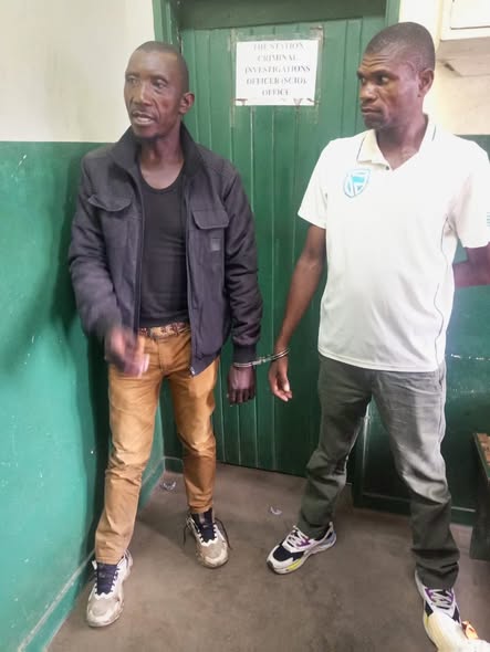 Two Arrested in Chikwawa for Possessing Live Pangolins