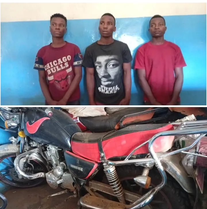 Court Sentences Three to 84 Months for Motorcycle Theft by Trick