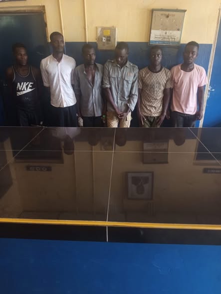 Six Arrested in Nkhata Bay for Possessing Chambo During Closed Fishing Season