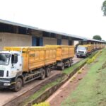 Malawi Receives 370 Tonnes of Maize from Zimbabwe