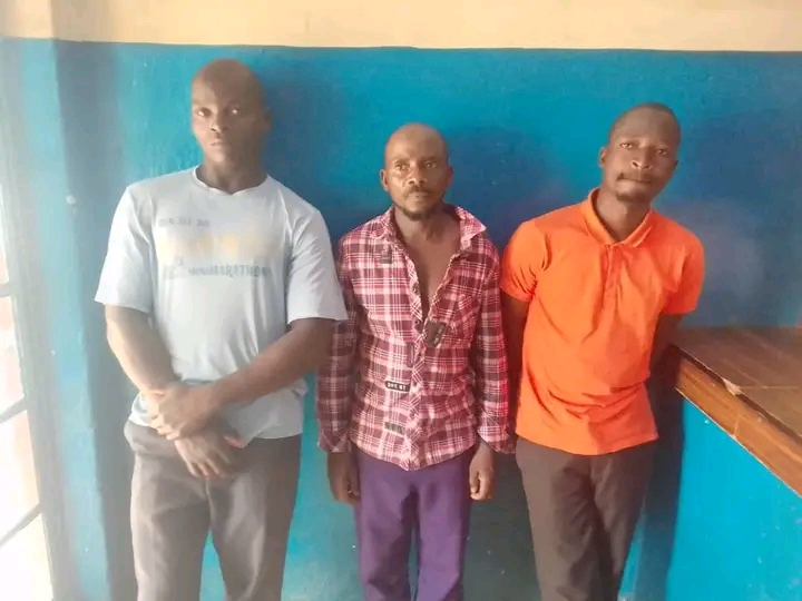 Mzimba Chief Tied to Tree Over Funeral Absence, Three Nabbed