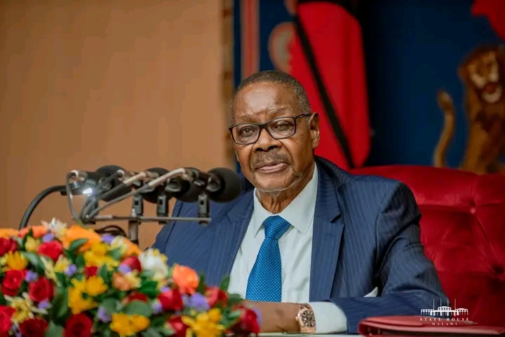 Mutharika Limits Ministers’ Local Travel to One Trip Per Month