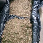Man Arrested in Mchinji with 50kg of Marijuana