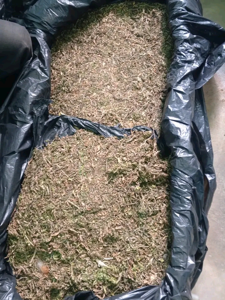 Man Arrested in Mchinji with 50kg of Marijuana