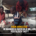 Four Arrested in Mangochi Over K6.6 Million Fertiliser Theft