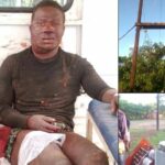 Man Jailed 60 Months for Vandalising ESCOM Power Transmitter in Dow