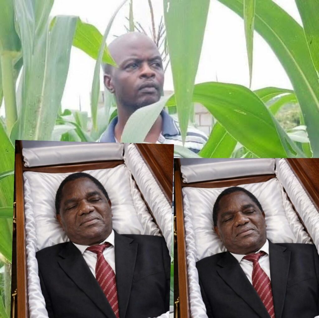 Lusaka Man Arrested Over Image of President Hichilema in Coffin