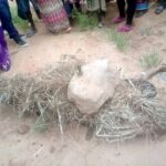 42-Year-Old Man Killed in Mwanza Mob Attack Linked to Child Murder Case