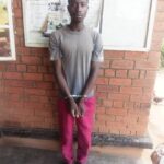 Hospitalized woman robbed: Fugitive jailed after two-year hunt