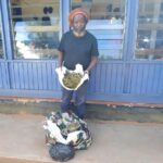 Kawale Police Arrest 51-Year-Old Over 10kg of Marijuana