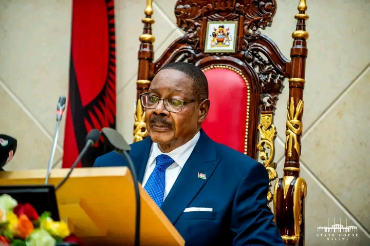 High Court Blocks Mutharika Order Barring Public Health Workers from Owning Private Clinics