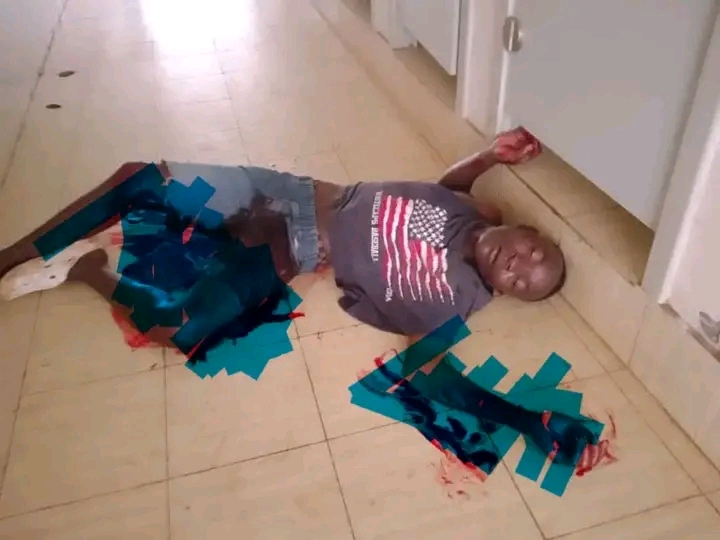 Police Shoot Suspect Fleeing Alleged Theft at Bingu Stadium