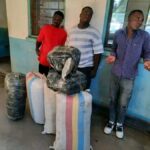 Three Arrested in Karonga with 140kg of Marijuana