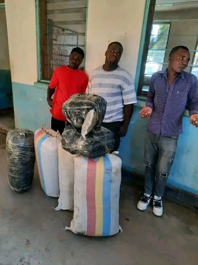 Three Arrested in Karonga with 140kg of Marijuana