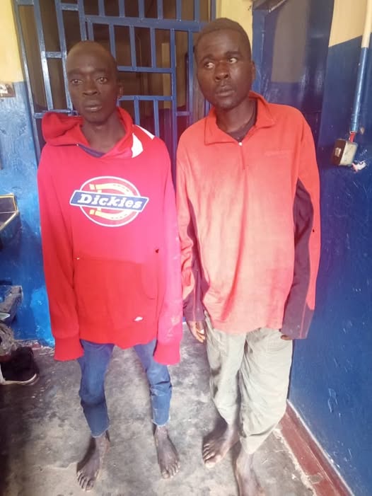 Two Men Arrested Over Murder in Nkhata Bay