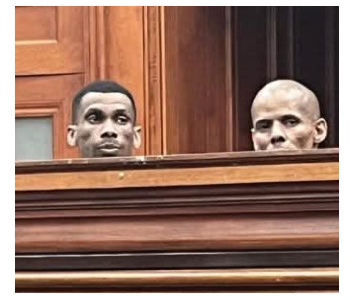 Two gang members sentenced to life imprisonment for k!lling pregnant woman in South Africa