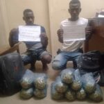 Two Mozambicans Arrested in Chikwawa for Marijuana Possession