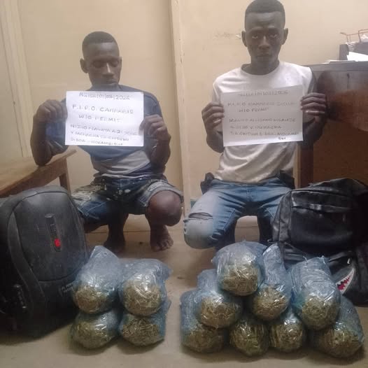 Two Mozambicans Arrested in Chikwawa for Marijuana Possession