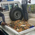 Mystery Death as Man Found Lifeless in Rented House