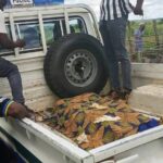 Man Dies After Allegedly Ingesting Insecticide in Mazabuka