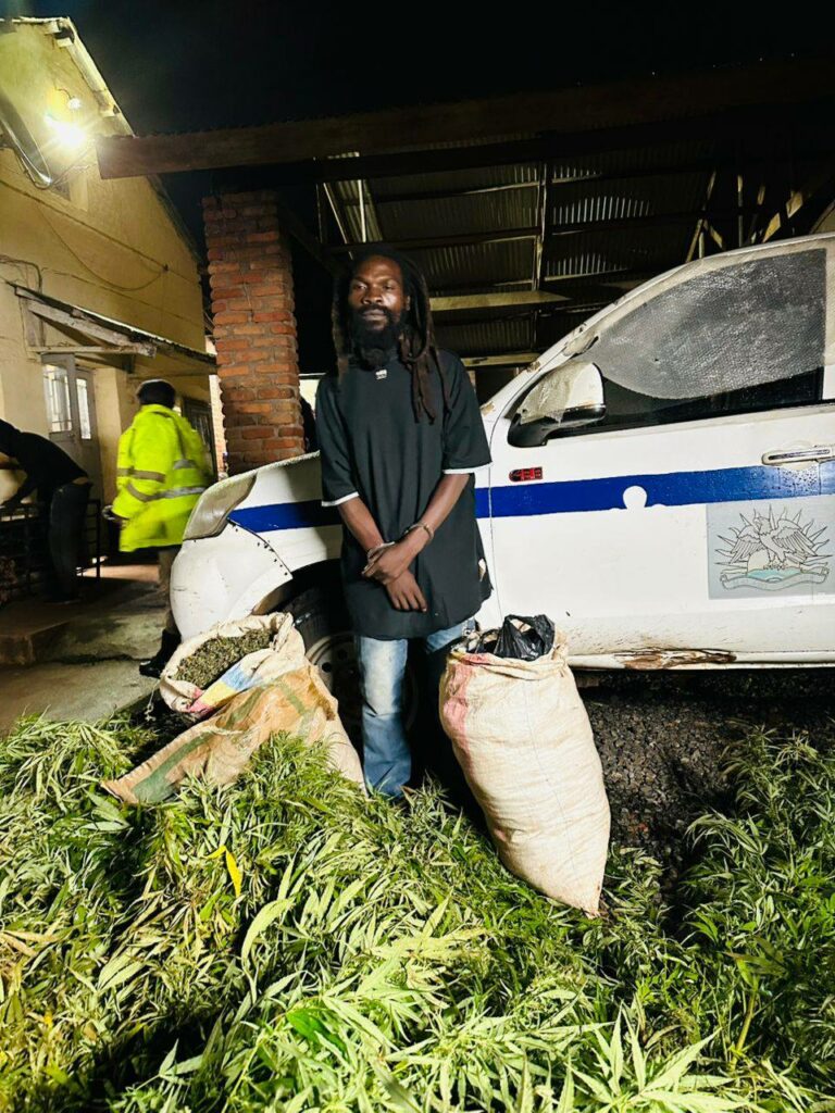 Rastaman Arrested for Cultivating Cannabis Without Permit