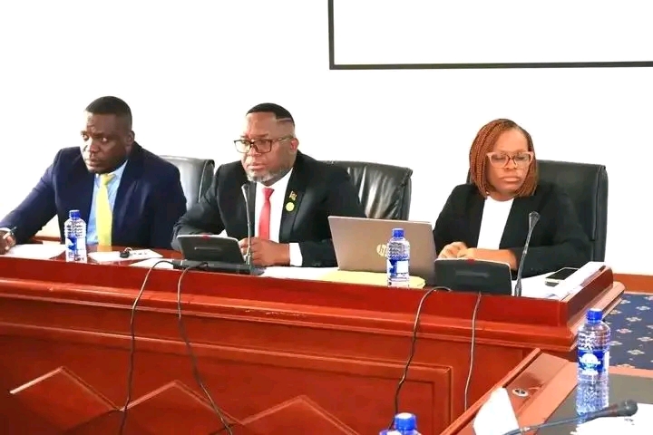 Amaryllis Scandal: PAC to Hear from Zamba, Bank Officials, Investors