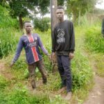 Two Jailed 5 Years for Vandalising ESCOM Equipment in Thyolo