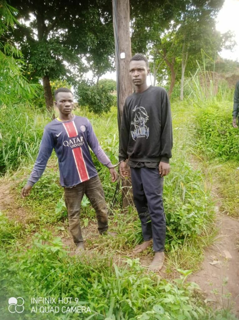 Two Jailed 5 Years for Vandalising ESCOM Equipment in Thyolo