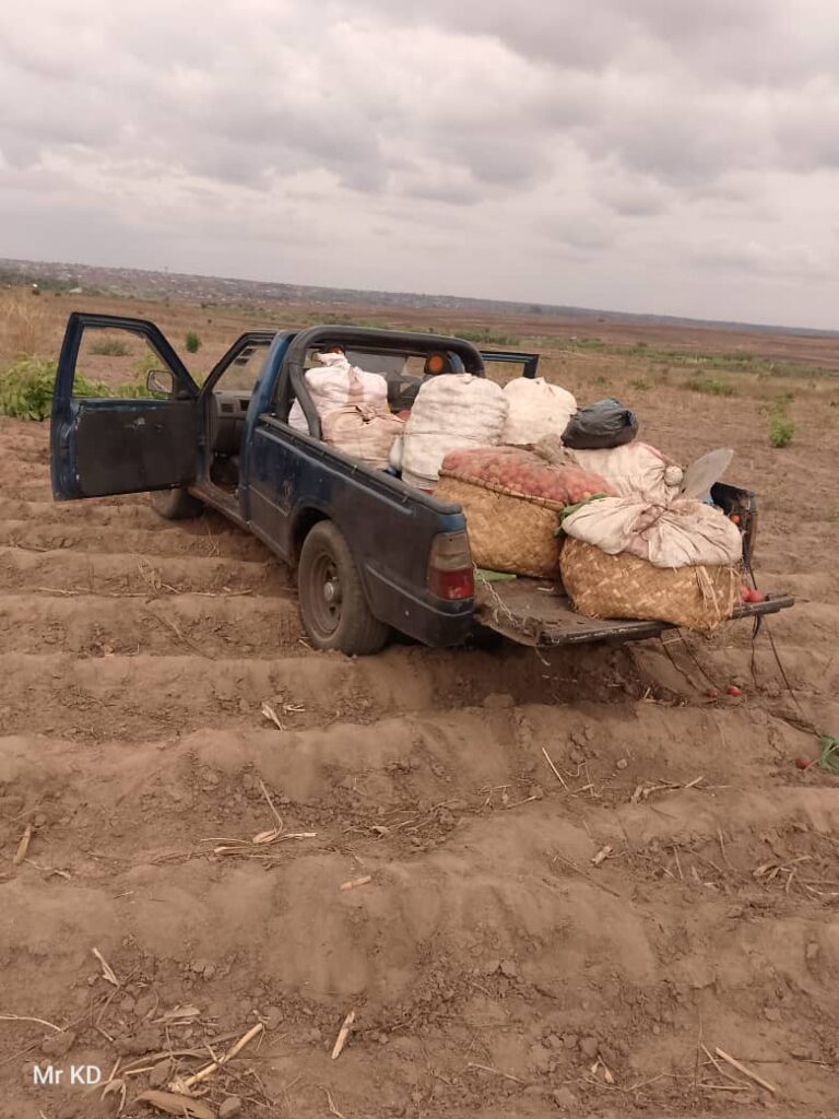 Driver Convicted for Causing Death of Two Women in Lilongwe Crash