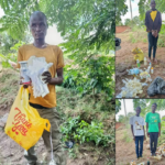 Pesticides Control Board Warns Farmers Against Illegal Agrochemicals