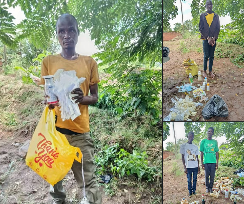 Pesticides Control Board Warns Farmers Against Illegal Agrochemicals