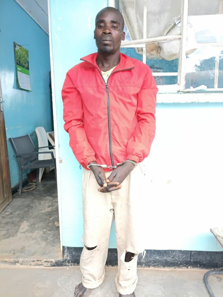 Watchman Arrested for Murder After Beating Suspected Maize Thief in Lilongwe