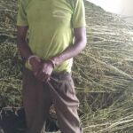 Man Arrested in Dowa for Possession of Cannabis