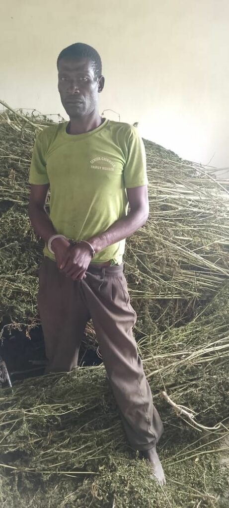 Man Arrested in Dowa for Possession of Cannabis