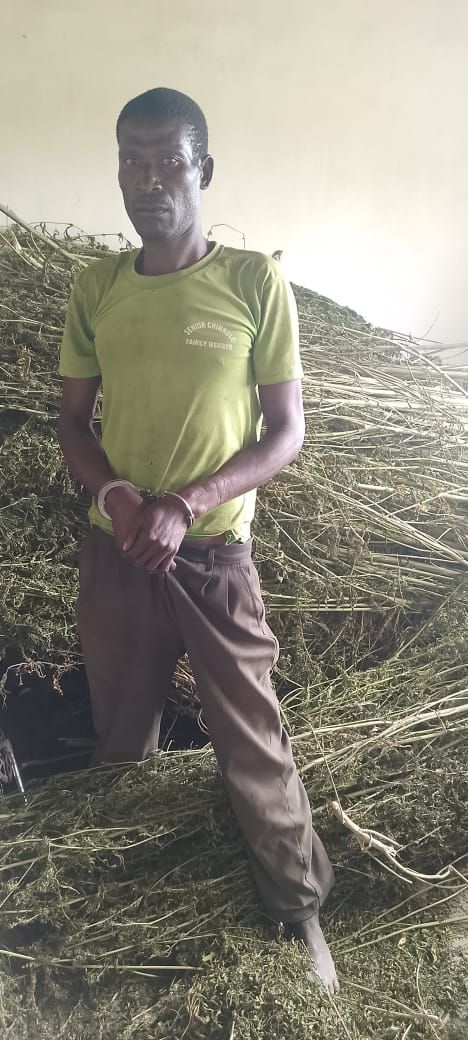 Man Arrested in Dowa for Possession of Cannabis