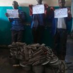 Three Arrested in Blantyre for Stealing ESCOM Powerline Wire