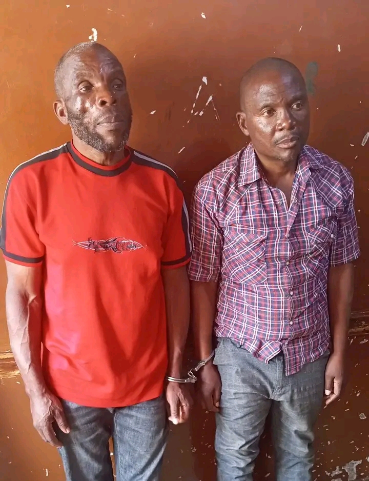 2 Ex-Convicts Arrested with Loaded Pistol in Lilongwe; Manhunt Launched for Third Suspect