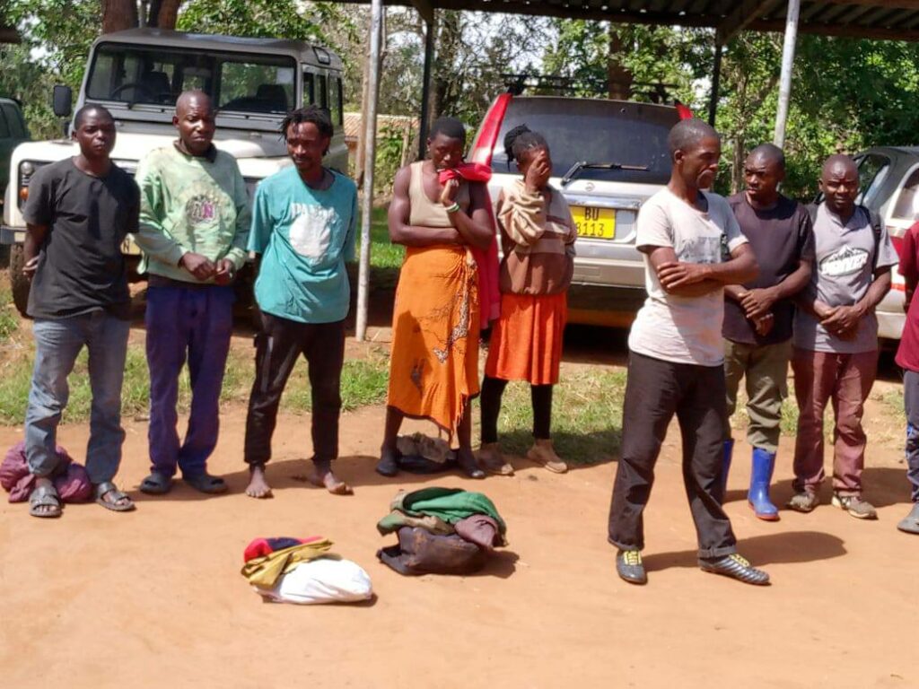 Nine Arrested Over Illegal Activities in Kaning’ina Forest Reserve