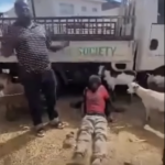 Limbe Police Arrest Goat Farm Owner After Viral Abuse Allegations