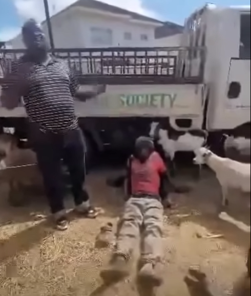 Limbe Police Arrest Goat Farm Owner After Viral Abuse Allegations