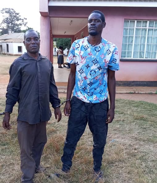 Two Men Jailed Seven Years for Possessing Ivory in Kasungu