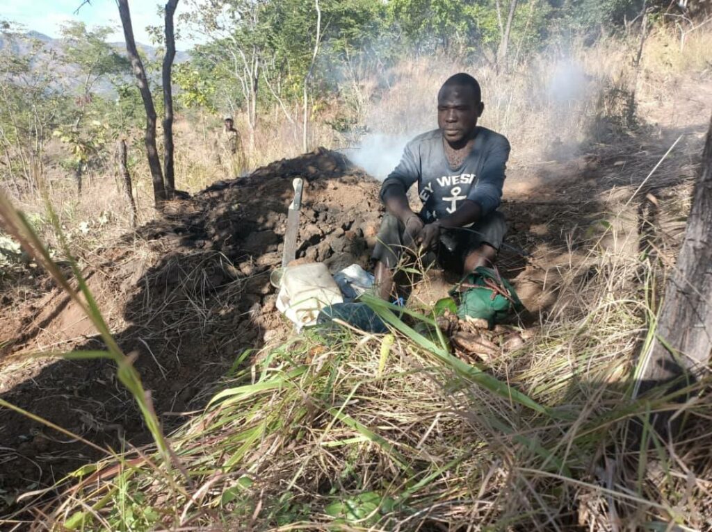 Two Jailed for Illegal Charcoal Production in Thuma Forest Reserve