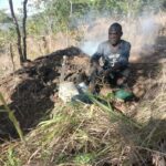 Two Jailed for Illegal Charcoal Production in Thuma Forest Reserve