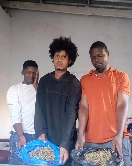 Three Arrested for Alleged Cannabis Possession in Chemusa