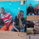 Four Arrested In Chikwawa Over Illegal Charcoal Worth K11.2 Million