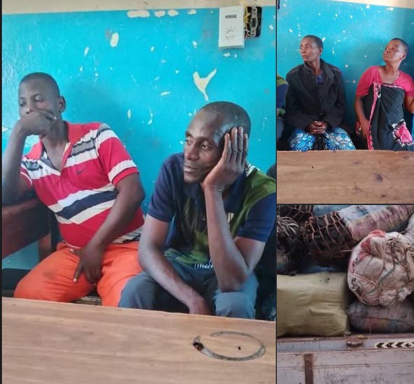 Four Arrested In Chikwawa Over Illegal Charcoal Worth K11.2 Million