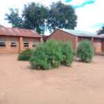 Fear Forces Teachers Out As Kabwazi Primary School Remains Closed For Three Weeks