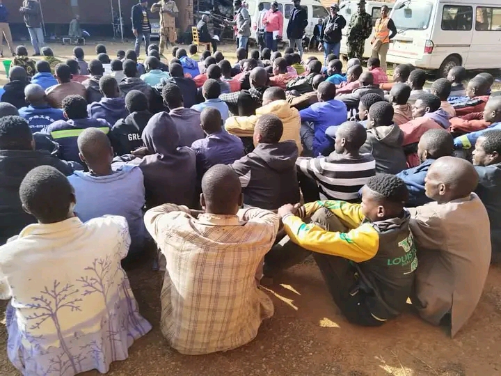 Police Arrest 88 Suspects Over K11.5 Million Poultry Farm Theft in Lilongwe